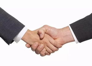 會(huì)展 繁榮的見(jiàn)證，經(jīng)濟(jì)貿(mào)易咨詢的璀璨舞臺(tái)